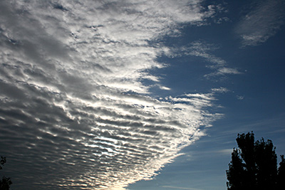 Altocumulus.png